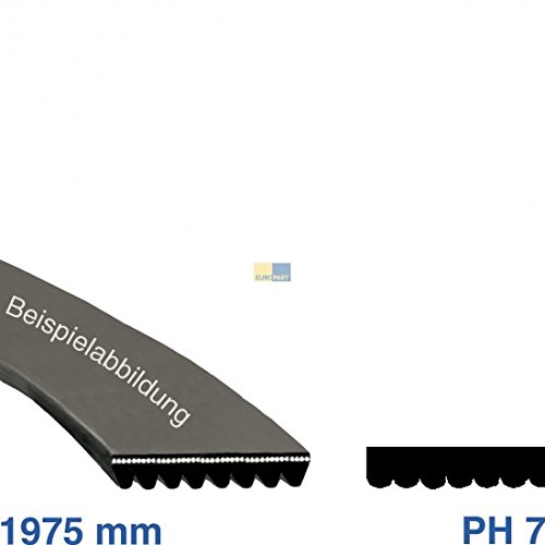Correia de Transporte para Máquina de Lavar Roupa EUROPART Dryerribbed Europart - Eletrodomésticos - transporte, máquina de lavar roupa, dryer
