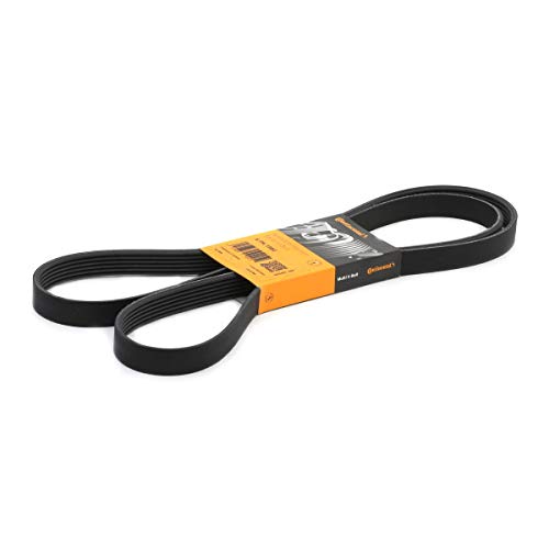Cinto de cortejo CONTITECH 6PK1880 (Branco - 100 cm) CONTITECH - Variadores de frequência e velocidade ajustável - transmissão de torque, 100 cm, alternadores, ventiladores