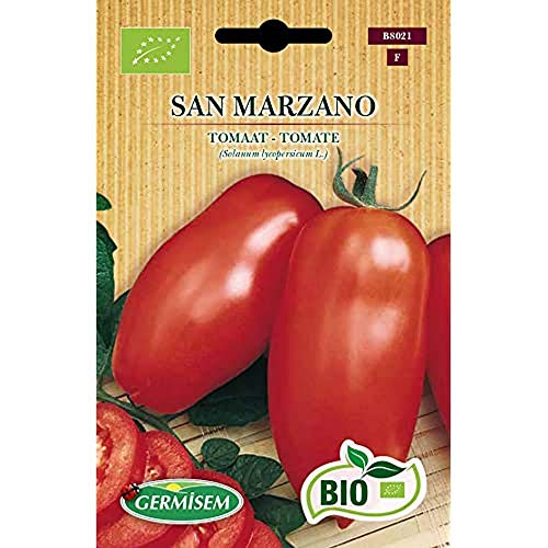 Sementes de Tomates San Marzano 100% Órgânicas GERMISEM Germisem Sementes - Sementes - tomate, san marzano, orgânica, germisesem
