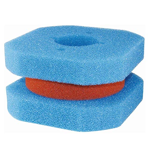 Conjunto de Escovas Limpa-Parafusos OASE 56109 Oase - Sapatos - limpa parafusos, azul, espuma