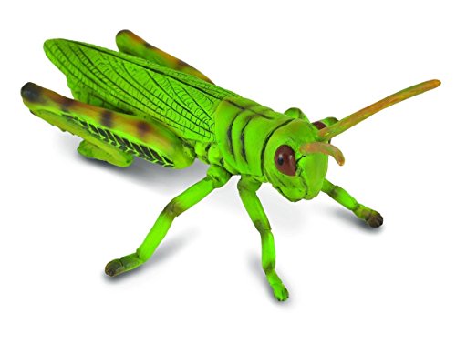Figura de Ação SPIN MASTER Saltamontes (Idade Mínima Recomendada: 4 anos) Collecta - Bonecos de ação e brinquedo - figura, ação, saltamontes, idade mínima recomendada