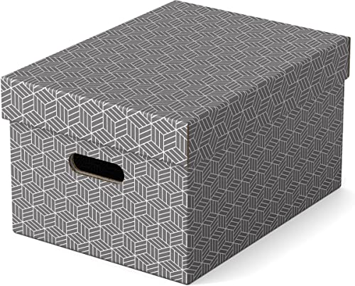 Caixa de Arrumação ESSELTE (Cinzento - Polipropileno) Esselte-Leitz - Recipientes de armazenamento doméstico - polipropileno, cinzento