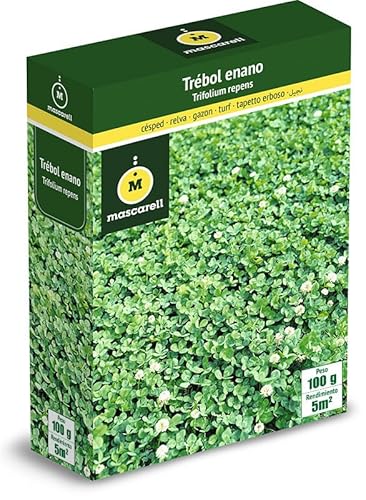 Sementes de Relva Mascarell Trébol Branco Enano Mascarell Semillas SL - Sementes - trébol branco, enano