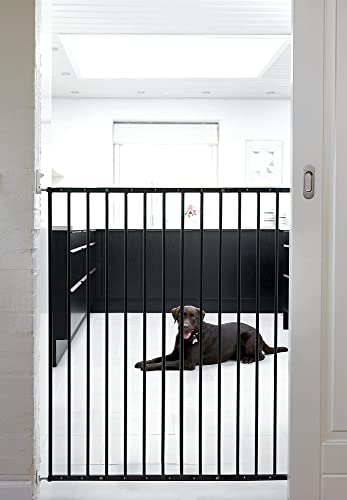Porta para Cães SCANDINAVIAN PET DESIGN (Preto - Aço - 62.5-106.8x103cm) Babydan - Produtos para animais de estimação - preto, aço, 62.5-106.8x103cm