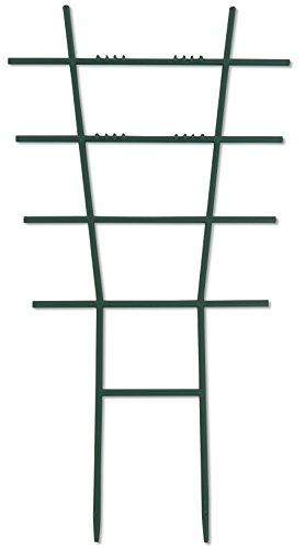Suporte para Arranjos de Flores WINDHAGER 5710 Windhager - Gaiolas e suportes para plantas - ajuda, crescimento, plástico leve, extensível