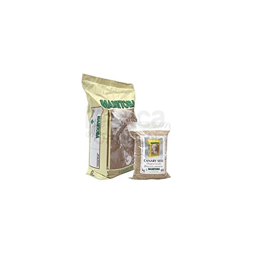 Alpiste Canadense Extra 5Kg (Recondicionado Como Novo) Manitoba - Ração para cães - alpiste canadense, extra 5kg, recondicionado como novo, teor de hidratos de carbono, teor de gorduras