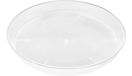 Vaso para Plantas GARRONDA GD-0026 Transparente Garronda - Pratos e bandejas para vasos de jardim - transparente, plantas
