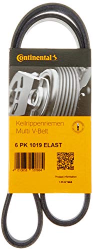 Correia de Acessórios para Motosierra CONTINENTAL CA 6PK1019ELAST CONTITECH - Variadores de frequência e velocidade ajustável - correia, acessórios, motosierra, contínental, ca 6pk1019elast, preto