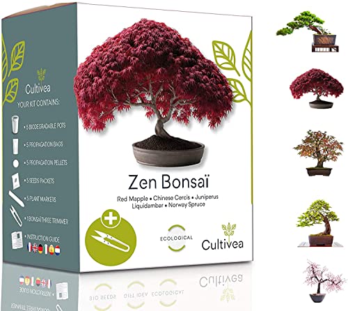 Kit Cultivo Bonsai 10 Plantas Frutas e Flores Cultivea - Kits de cultivo de plantas e ervas - kit, cultivo, bonsai, plantas, frutas, flores