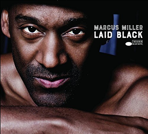 Amplificador de Guitarra MARCUS MILLER Laid Black Blue Note - Música e gravações de som - amplificador, guitarra, marcus miller
