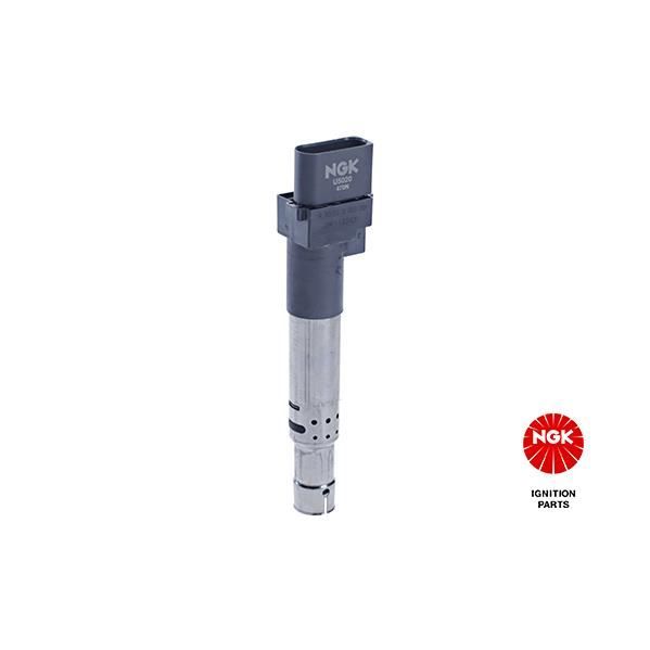 Cabo de Energia GARDENA NGK 48065 | Preto (Electricidade e Domótica) NGK - Sistemas elétricos e de potência de veículos automotores - cabo de energia, preto, electricidade, domótica
