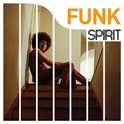 Vinil LP Various - Spirit Of Funk (180g) (1LP) WAGRAM - Audiolivros - vinil, LP, various, spirit of funk, 180g