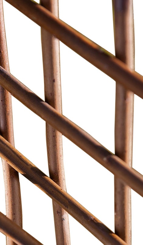 Cortina de Varanda Extensível com Alça Castanho 50X150 Cm CATRAL - Móveis de exterior - extensível, castanho, 150x50 cm