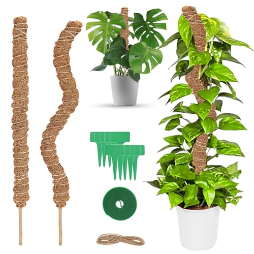 Tutuor para Plantas Talifoca 2 Peças - 60 Cm TALIFOCA - Gaiolas e suportes para plantas - plantas, talifoca, 2 peças, 60 cm
