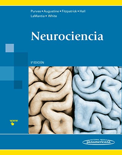 Livro Neurociencia de David M. Eagleman (Espanhol) Editorial Médica Panamericana S.A. - Livros - neurociência, científico, método, acessível