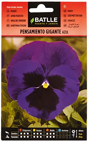 Sementes de Flores BATLLE Azul (1 Unidade) BATLLE - Lâmpadas de plantas e flores - azul, semillero, assento, 4 cm