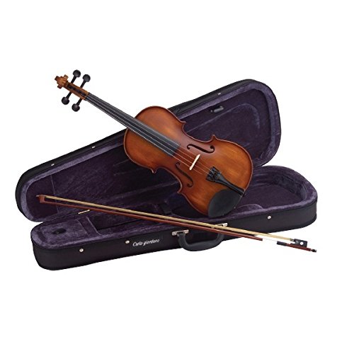 Violino CARLO GIORDANO VS016 (Violeto - 16.5'' - 41.3 cm) Carlo Giordano - Violinos - violin, carlo giordano, vs016, violeto, 16.5 polegadas