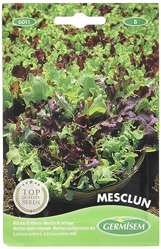 Sementes de Ensalada GERMISEM Mesclun (4g) GERMISEM - Sementes - mesclun, alta qualidade, todo tipos solos, 100