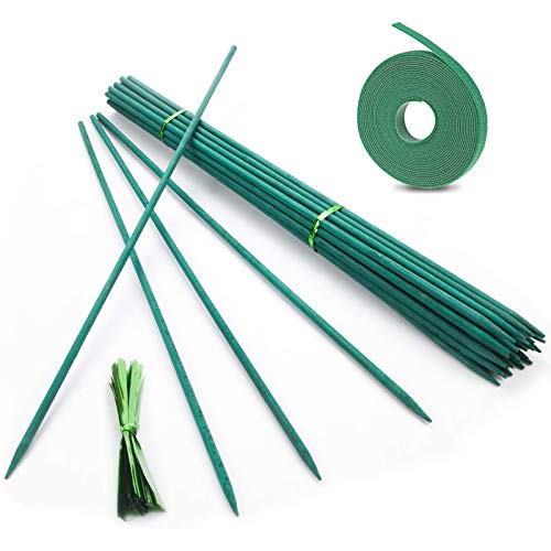 Suporte para Plantas com Varinha de Bambu Fun Gift - Gaiolas e suportes para plantas - bambu, multifuncional, estabilização