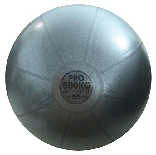 Bola de Fitness MAD SPORTS Swiss (55 cm - Grafite) Fitness-Mad - Roupa - 55 cm, fitness, swiss