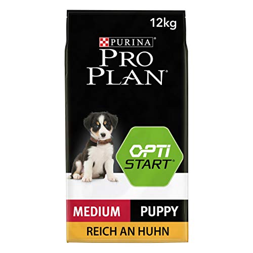 Ração para Cão PURINA Adulto Frango (12 Kg) PURINA - Ração para cães - adulto, frango, 1,2 kg