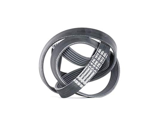 Cinto de Correia para Máquina de Lavar Roupa CONTITECH 6PK1815 CONTITECH - Peças do motor do veículo automóvel - cinto, correia, máquina de lavar roupa, contitech, 6pk1815