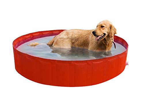 Piscina para Cães NEW PLAST (180 x 30 cm) New Plast - Piscinas - 180x30 cm, plástico, para cães