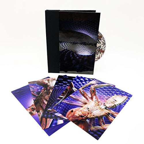 CD+Livro Fear Inoculum - Rubber Johnny (1 CDs) SONY INTL - Música e gravações de som - cd, livro, fear inoculum, rubber johnny