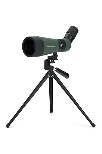 Telescópio Celestron 12-36x60 Landscout | Preto (Instrumentos) Celestron - Telescópios - telescópio, celestron, 12-36x60, landscout, preto
