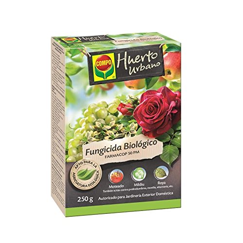 Composto para Plantas com Cobre OXICLORURO 250G Compo - Equipamento de proteção individual (epi) - cobre, oxcloruro, 250g