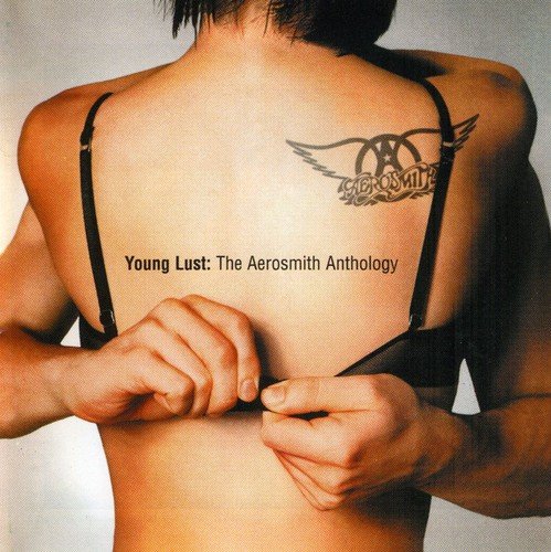 CD Aerosmith - Young Lust: The Aerosmith Anthology GEFFEN RECORDS - Cds de música - aerosmith, young lust, anthology