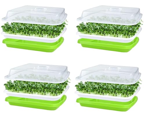 Caixa de Sementes com Tapete e Papel de Cultivo KAHEIGN KAHEIGN - Vasos e canteiros - caixa, sementes, tapete, papel, cultivo