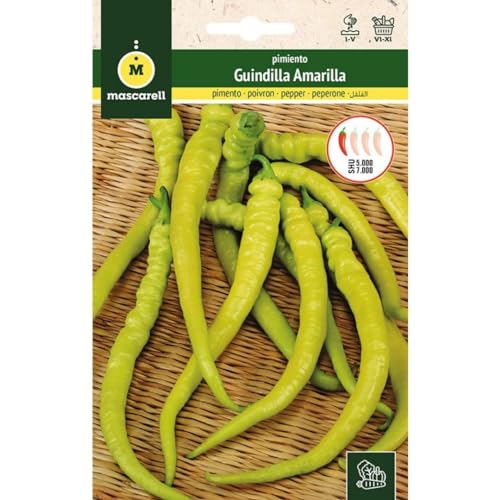 Sementes de Pimenta Guindilla Amarela - 1 g Mascarell Semillas, S.L. - Sementes - guindilla, amarela, 1 g