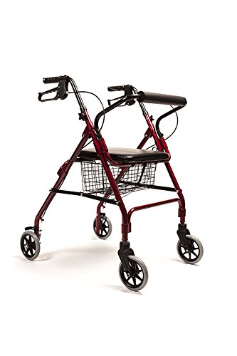 Andador de Rodas para Idosos PIQUERAS Y CRESPO Rollator Anota - Tabuleiros e lençóis de transferência - andador, rodas, idosos, rollator