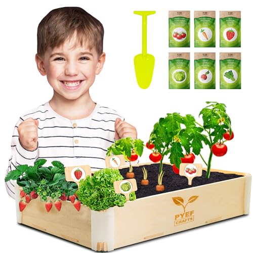 Kit de Jardinagem PYEF CRAFTS (Idade Mínima: 5) PYEF Crafts - Kits de cultivo de plantas e ervas - kit, jardinagem, idade mínima 5