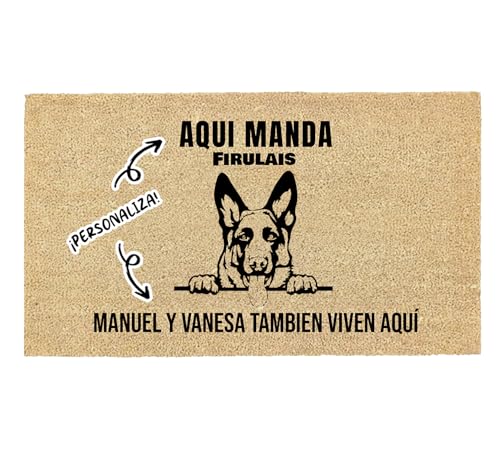 Tapete Decorativo LUCAHOME com Máscara de Carne para Cão (Castanho - 40 x 70 cm) LUCA HOME - Tapetes de porta - fibras naturais, 40 x 70 cm, castanho, confortável