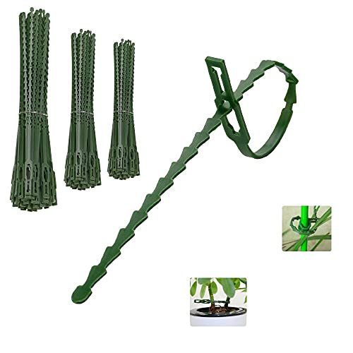 Acessório de jardim AFASOES 220 peças (Verde) AFASOES - Gaiolas e suportes para plantas - 220 peças, 3 tamanhos, amarrar plantas