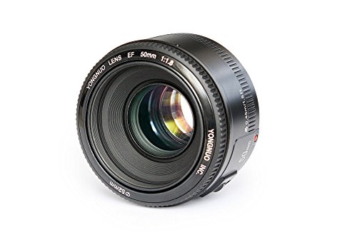 Objetiva YONGNUO AF-50MM F/1.8 (Encaixe: Canon EF - Abertura: f/1.8) Yongnuo - Lentes de câmera - canon ef, f/1.8, telephoto lens, 50 mm