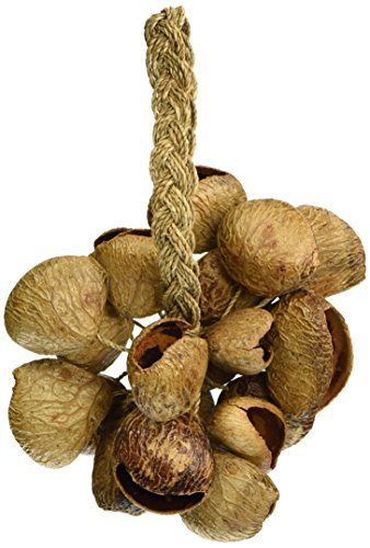 Toca de Maracolino Seed Shell Shaker com Varinha TOCA Toca - Percussão manual - toca, maracolino, shaker, sementes, naturais
