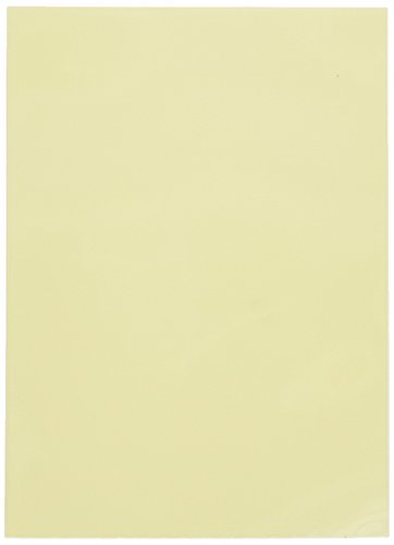 Pasta para Cartas DRAGON SHIELD Sleeves 100 Ivory Dragon Shield - Capas de cartão - cartão rígido, anti-estatuto, rotulagem, protetoras
