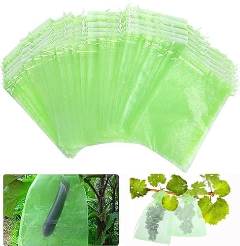 Bolsa para Proteger Uva YOUNLEN (50 Un - Transparente) YOUNLEN - Gaiolas e suportes para plantas - transpirante, anti-uv, reutilizável, anti-frio
