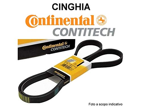 Correia de Acessórios para Motosierras CONTINENTAL 6PK1090 CONTITECH - Acessórios para motosserra - motosierra, 1,09 m, preto