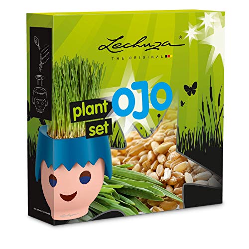 Conjunto de Plantio para Jardim GOLIATH OJO (Verde) LECHUZA - Vasos e canteiros - conjunto, plantio, jardim, goliath ojo, verde, metal, plástico, tampa removível
