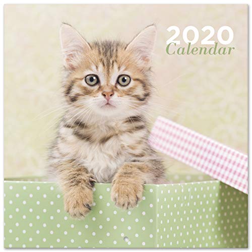 Calendário ERIK EDITORES 2020 30X30 Chantrenne Cat ERIK - Calendários, organizadores e planejadores - calendário, parede, anotar, meses, dimensões