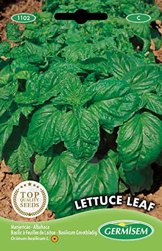 Sementes de Ervilha GERMISEM Lettuce Leaf (3g) GERMISEM - Sementes - erivilha, germissem, 3g