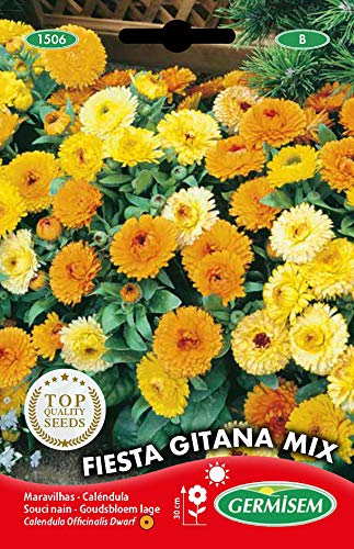 Sementes para Plantas Ornamentais GERMISEM EC1506 GERMISEM - Sementes - sementes, plantas ornamentais