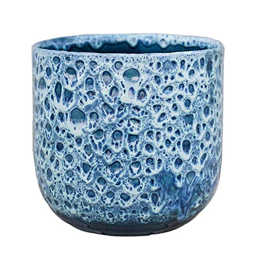 Vaso de Plantas IVYLINE CERAMIC-PLANTER-IVYLINE Ivyline - Móveis de exterior - cerâmico, zafiro, elegante