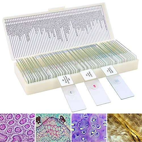 Conjunto de 60 Amostras para Microscópio (Idade Mínima Recomendada: 3 anos) LAKWAR - Lâminas de microscópio - amostras, microscópio, idade mínima 3 anos