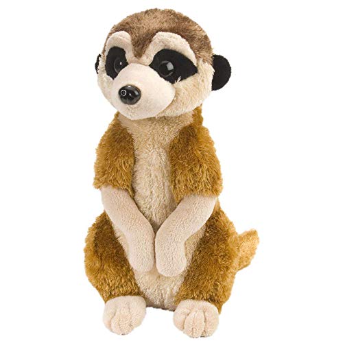 Peluche WILD REPUBLIC Suricate (Tam: 20 cm) WILD REPUBLIC - Animais de pelúcia - peluche, wild republic, suricate, 20 cm, animais selvagens, réplica a escala