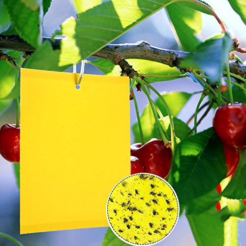 Pestacas PANNGU 20 Peças Eco Dupla Amarelo Panngu - Armadilhas de controle de pragas - eco, dupla, amarelo, resistente